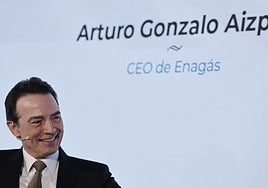 El consejero delegado de Enagas, Arturo Gonzalo Aizpiri.