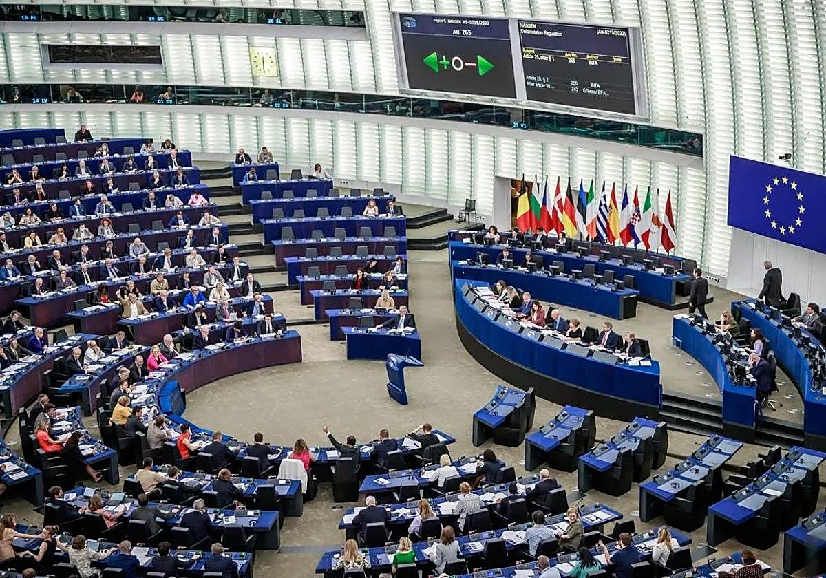 El parlamento europeo.