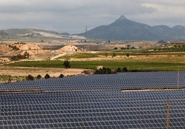 El sector fotovoltaico urge al Gobierno a tener las conclusiones del informe sobre el apagón «cuanto antes»