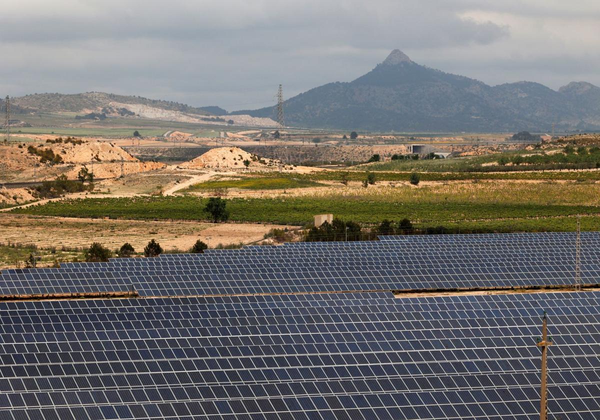 El sector fotovoltaico urge al gobierno a tener las conclusiones del informe sobre el apagón «cuanto antes» | las provincias