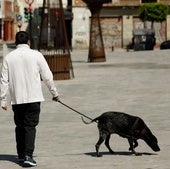 Un hombre pasea a su perro.