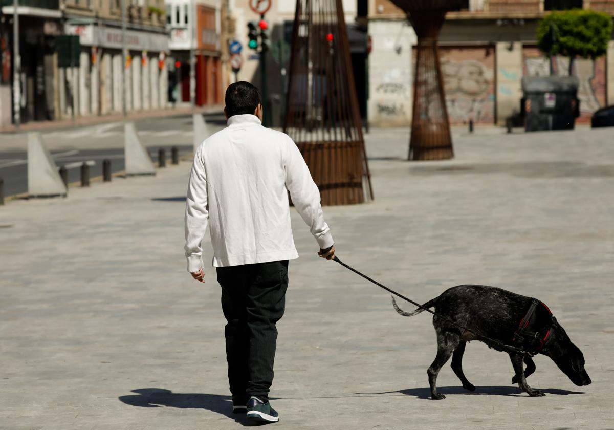Matan de un disparo desde una vivienda a un perro que paseaba con su dueño en castellón | ideal