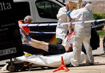 El exdirigente ucraniano asesinado en Madrid se reunió tres días antes con el Gobierno de Zelenski