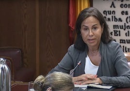 Pardo de Vera este jueves en el Senado