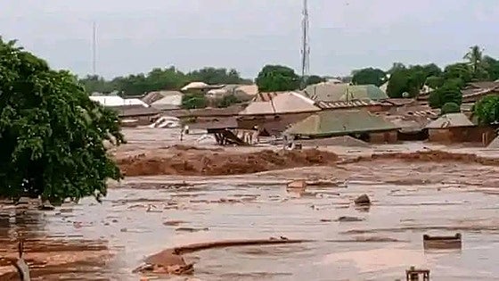 Ascienden a 115 los muertos por las inundaciones en Nigeria
