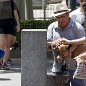 Un hombre y una joven remojan a su mascota en una fuente de Sevilla el pasado viernes, cuando se alcanzaron los 40 grados en la capital hispalense.