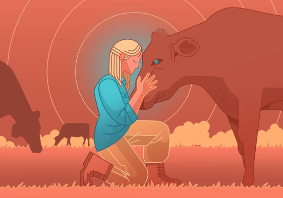 La protectora