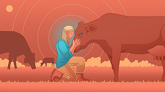 La protectora