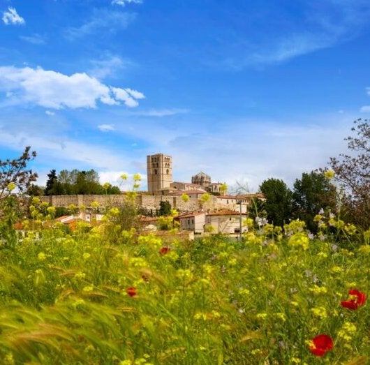 Es el rincón del norte más bonito: se llena de amapolas en primavera, está en Zamora y es la escapada perfecta para disfrutar de la naturaleza