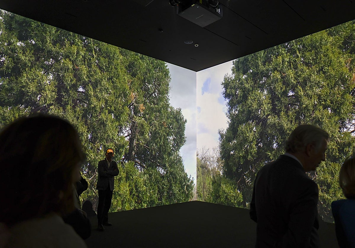 Imagen de la exposición.