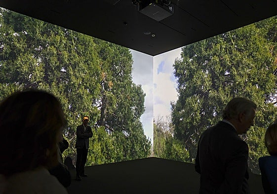 Imagen de la exposición.