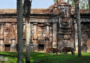 De la jungla africana al Cantábrico: tres experiencias para reconectar
