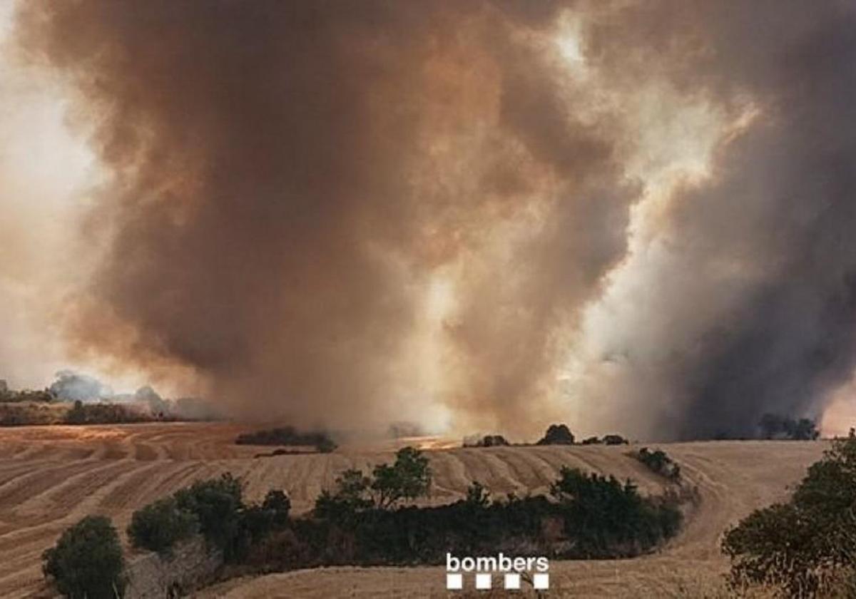 A vehicle fire next to an unharvested field sparked a blaze in the Lleida municipality of Granyena de Segarra this Saturday