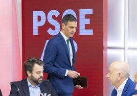 Pedro Sánchez, presidente del Gobierno