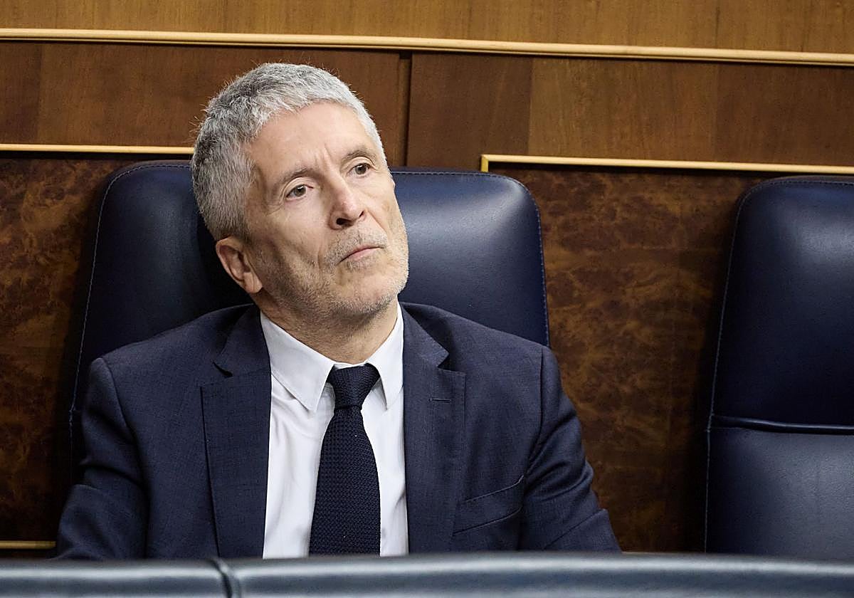 Fernando Grande-Marlaska, en el Congreso este miércoles.
