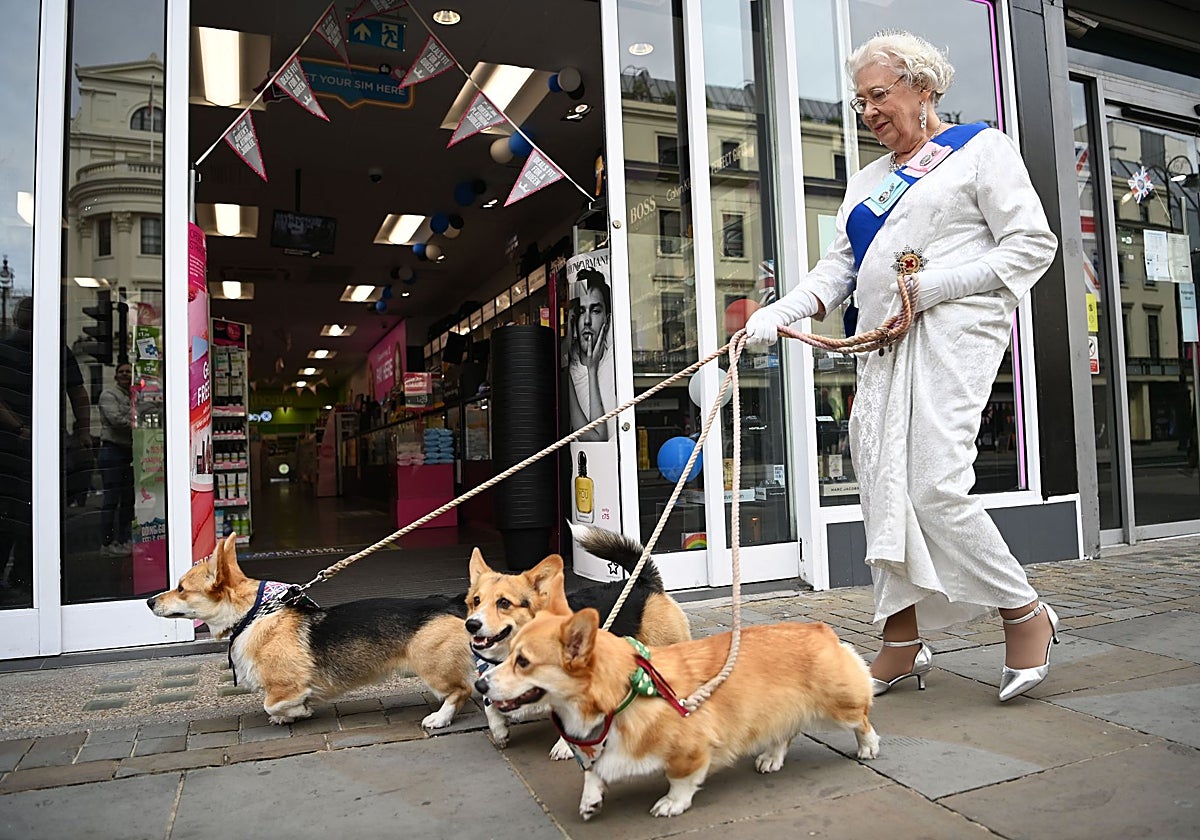 Una mujer pasea a sus perros en Reino Unido.