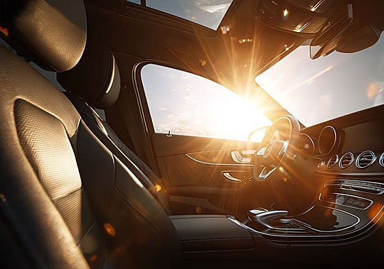 Los efectos del sol y el calor