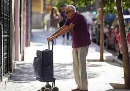 Jubilado con el carrito de la compra