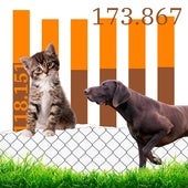 Los españoles abandonan cada vez a más perros y gatos: 33 cada hora