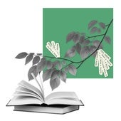 Del bosque al papel. ¿Cuánto CO2 almacena una hoja?