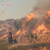 Bomberos tratan de frenar las llamas cerca de la localidad de Ierapetra, en la isla griega de Creta.