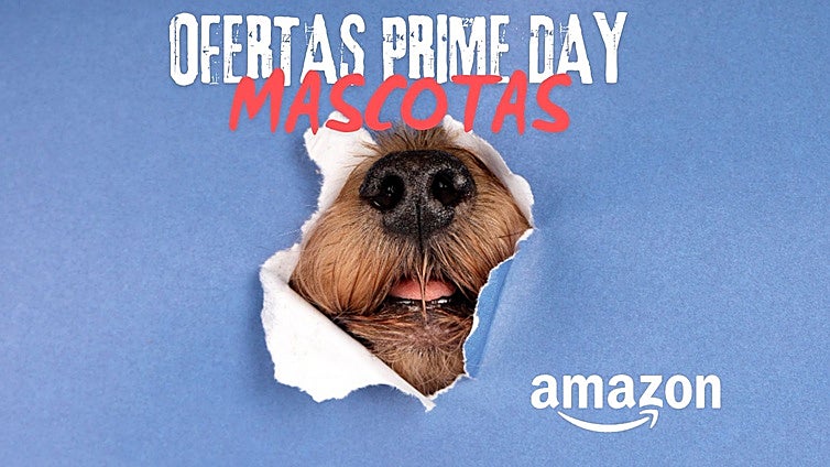 Estas son las mejores ofertas para tu mascota en el Prime Day 2025 de Amazon