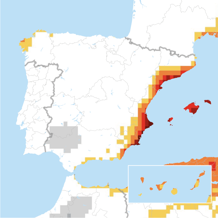 Carte 4