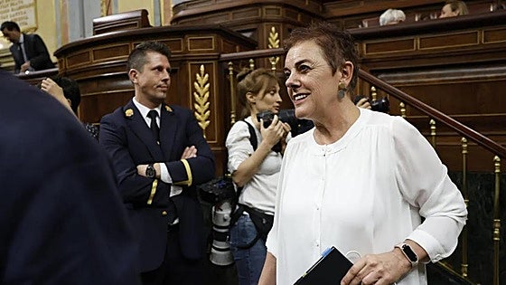 Bildu ve «insuficientes» las medidas pero «no intentará hundir» al Gobierno