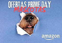 Estas son las mejores ofertas para tu mascota en el Prime Day 2025 de Amazon