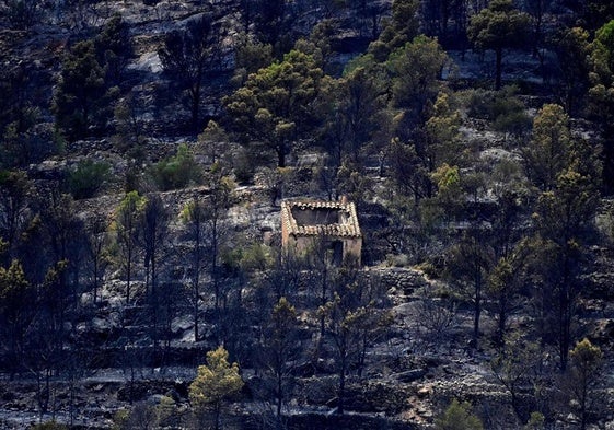 El Govern levanta el confinamiento de casi toda la población afectada por el incendio del sur de Tarragona