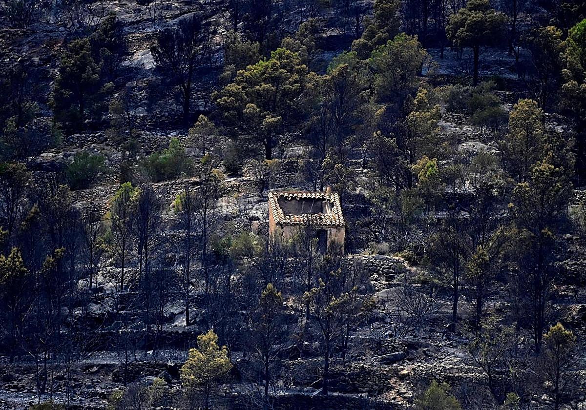 Imagen de Pauls, en Tarragona.