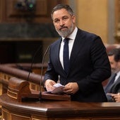 Santiago Abascal este miércoles en la tribuna del Congreso.