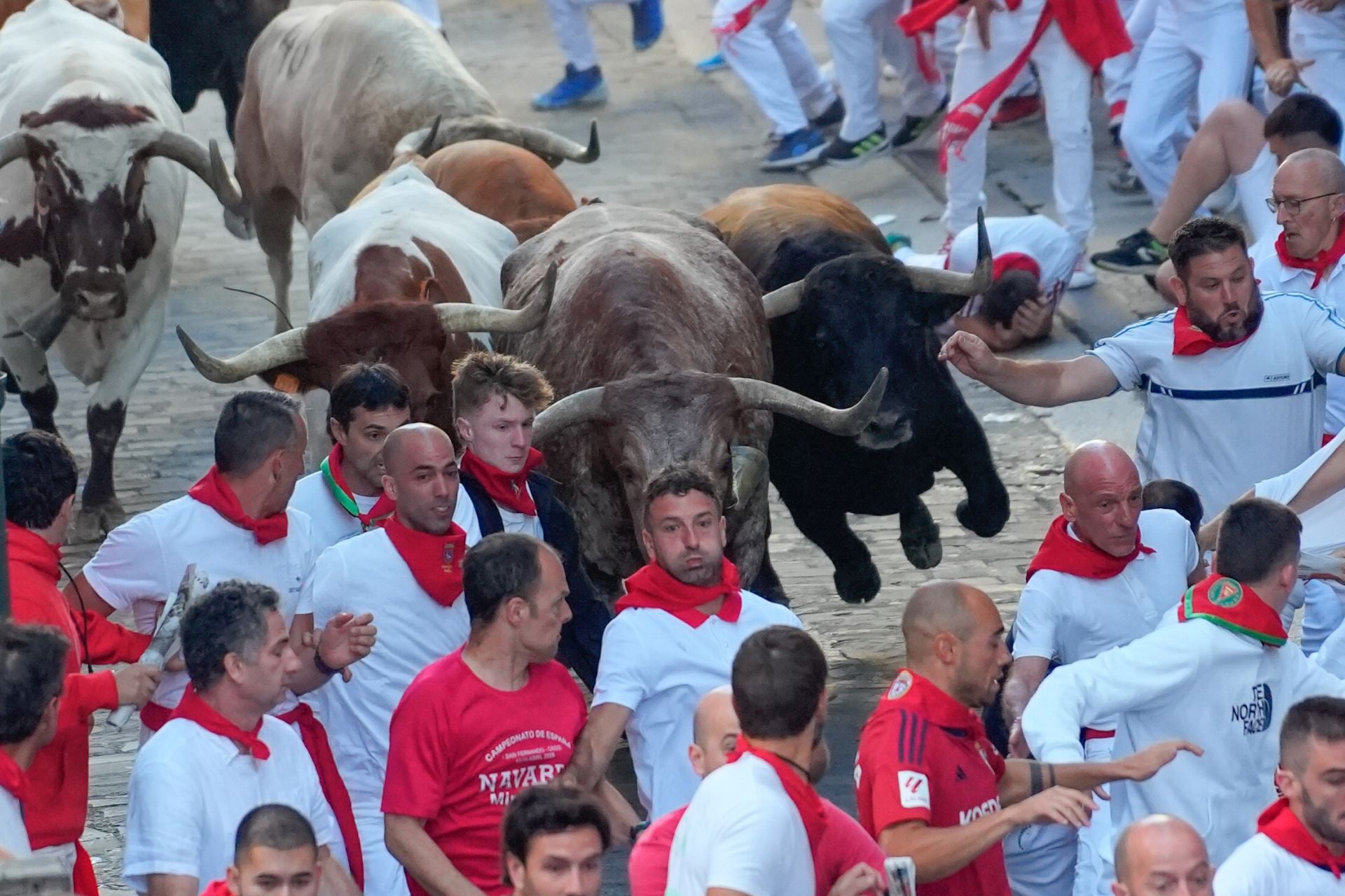Eran novatos, así que poco se sabía de cómo se iban a comportar los toros de la ganadería de Álvaro Núñez sobre el asfalto navarro. Pero no han defraudado. 