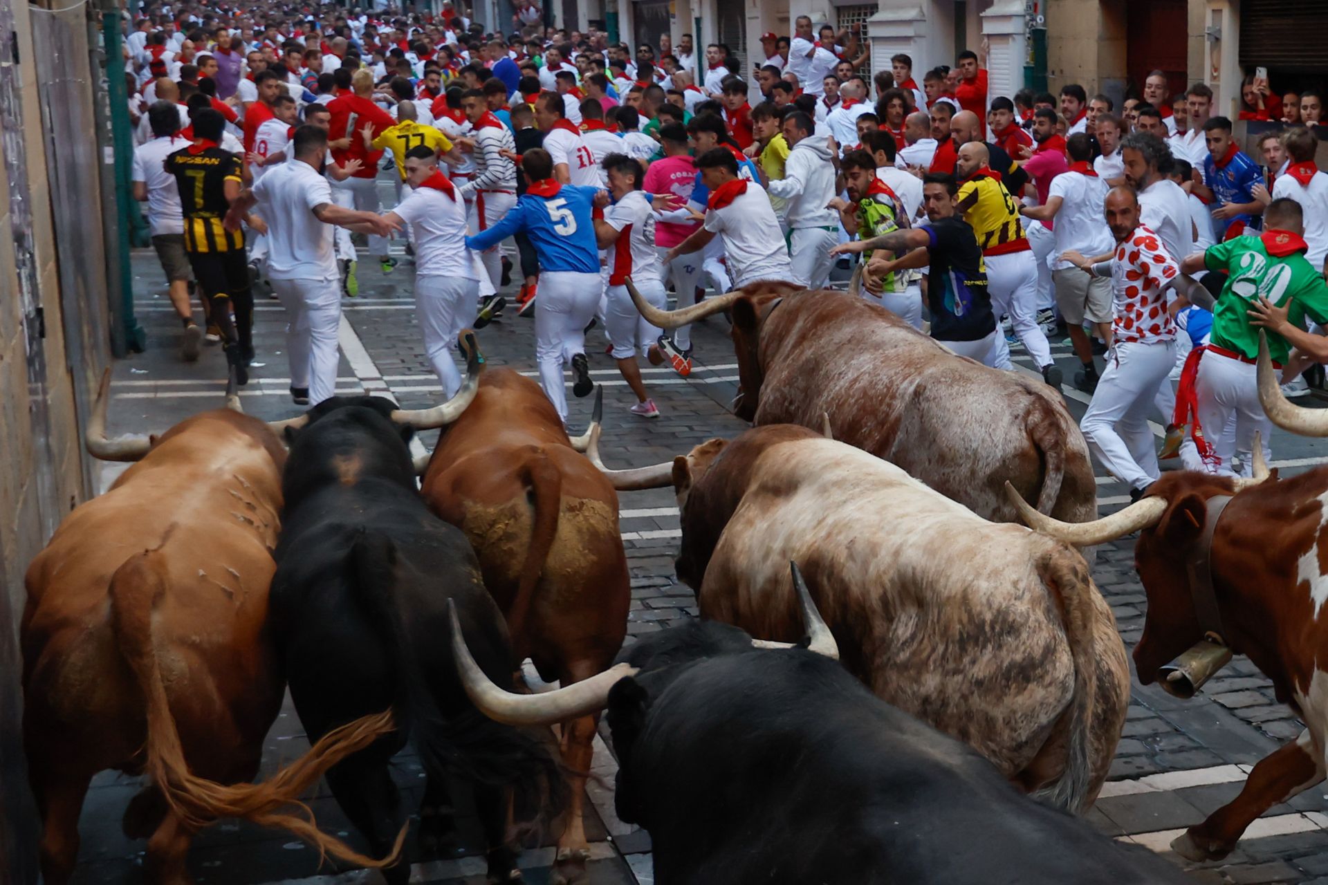 La manada de los toros de Victoriano del Río han ido agrupados en casi todo el recorrido del cuarto encierro.