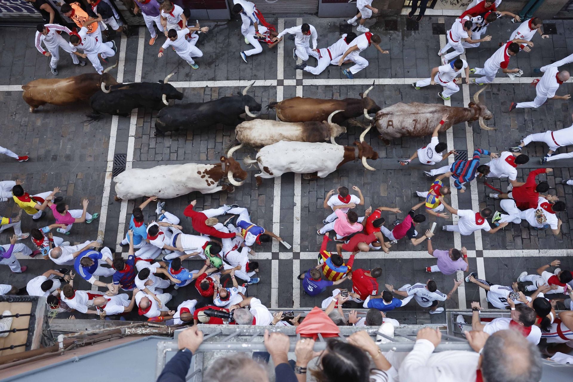 Preciosa imagen de los toros abriéndose paso entre los corredores en el cuarto encierro.