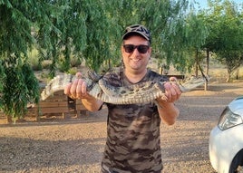 El caiman capturado