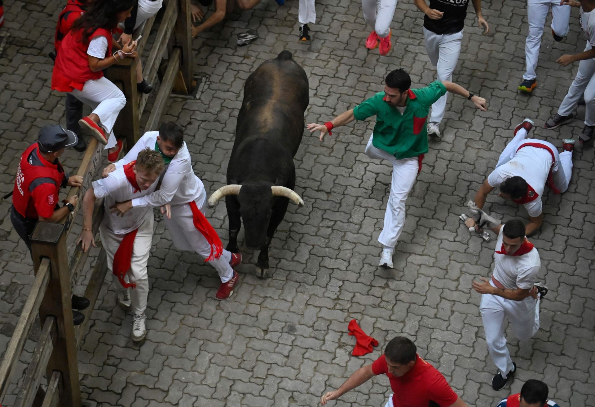 Un toro llega al tramo final del encierro rodeado de varios mozos, pero sin buscarlos.