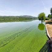 Embalse de As Conchas, en Orense, con sus aguas contaminadas, origen de la demanda.