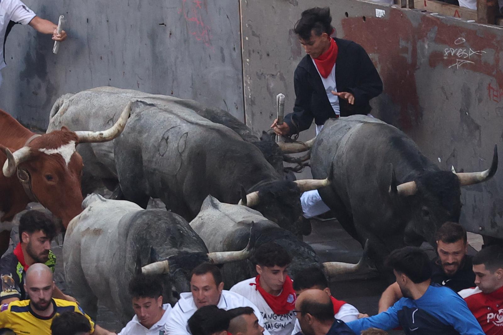 Varios toros en el tramo inicial de la Calle Estafeta desde la curva de Mercaderes
