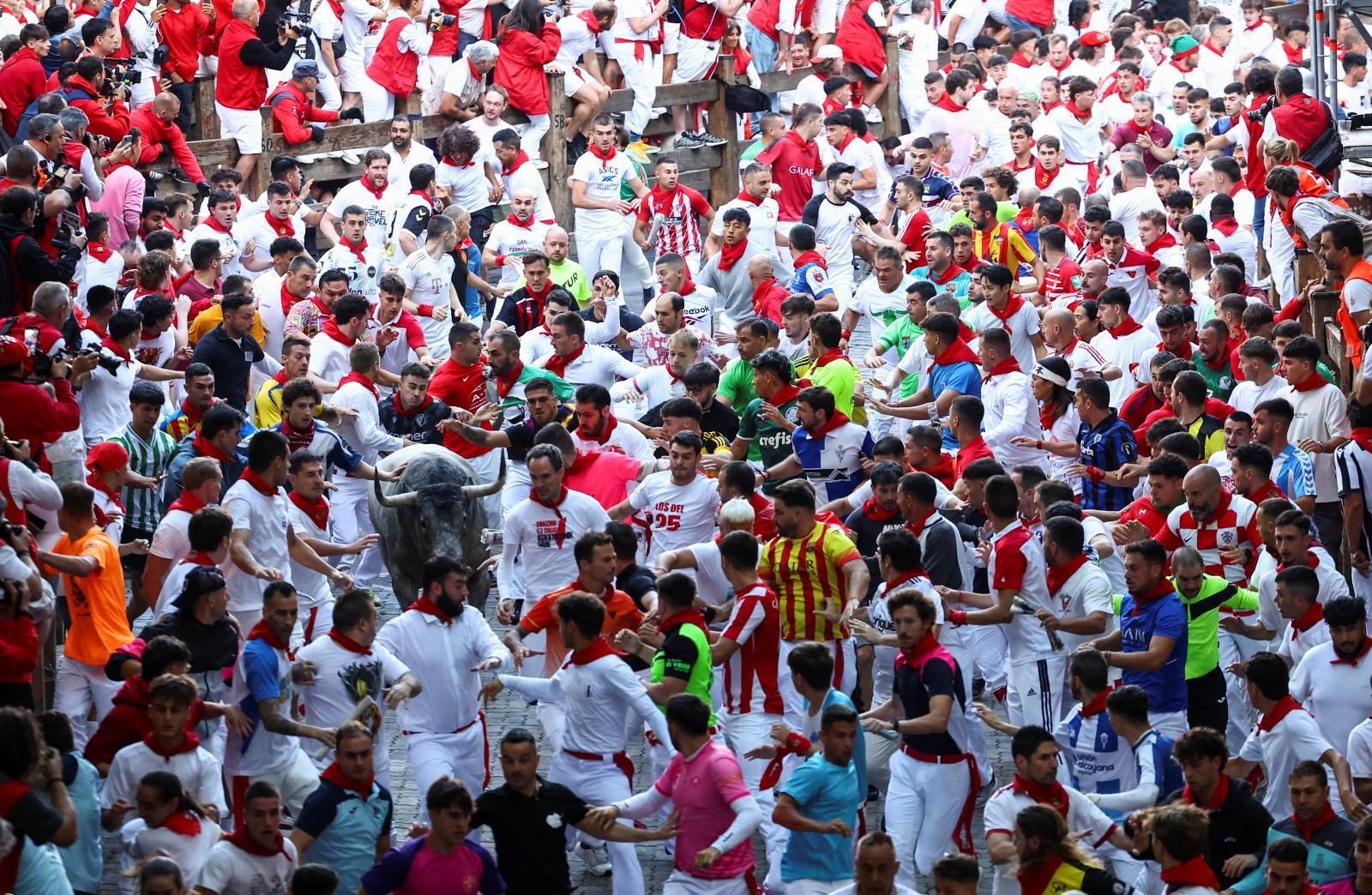 Los corredores, junto a uno de los toros que han protagonizado este sábado el encierro
