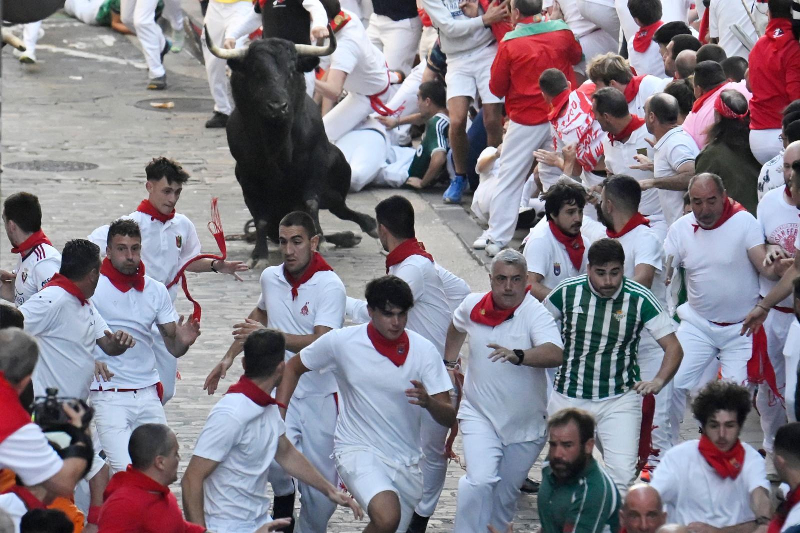 Varios corredores miren a uno de los toros