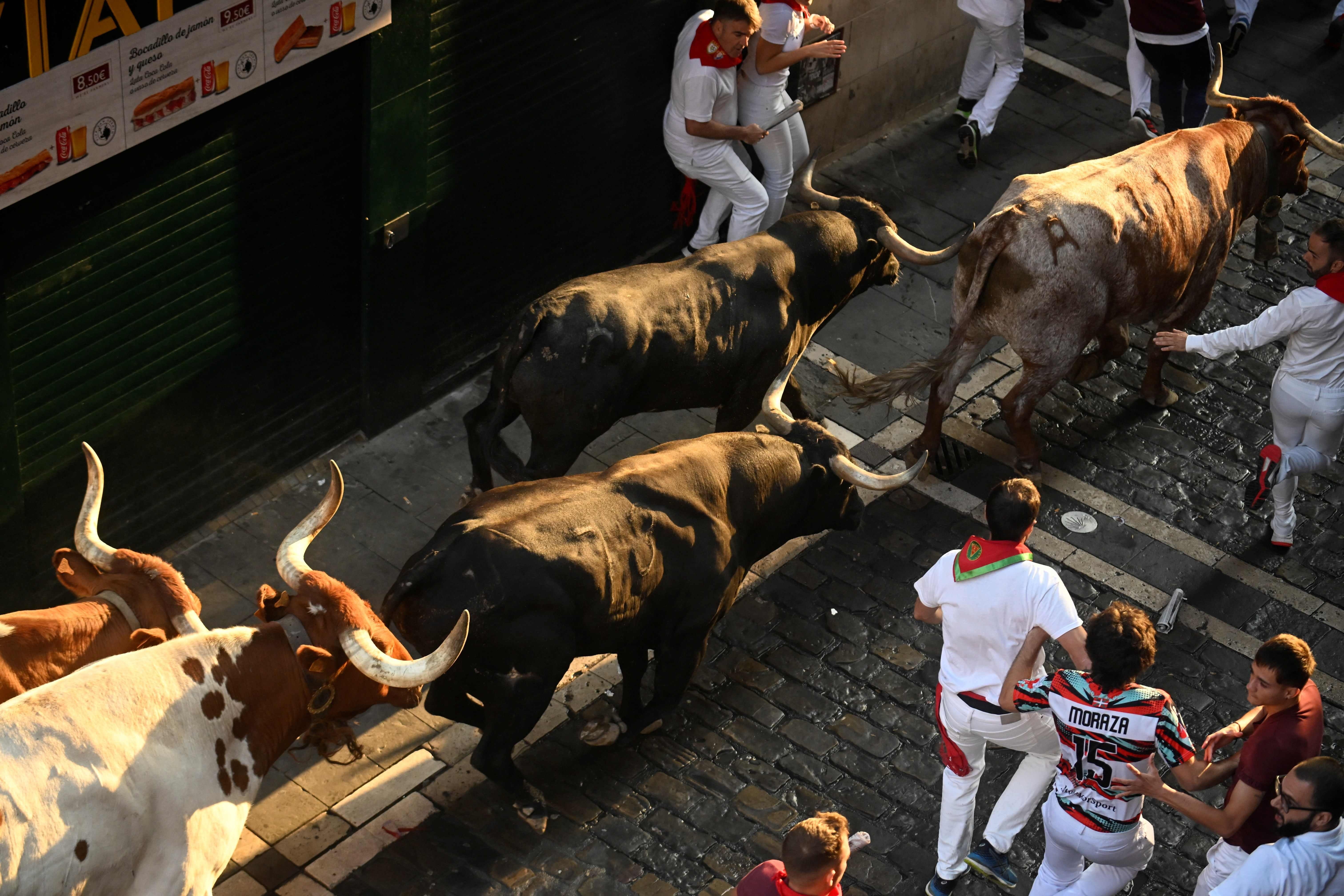 Los toros de Miura persiguen a los corredores con los primeros rayos de sol de la mañana.