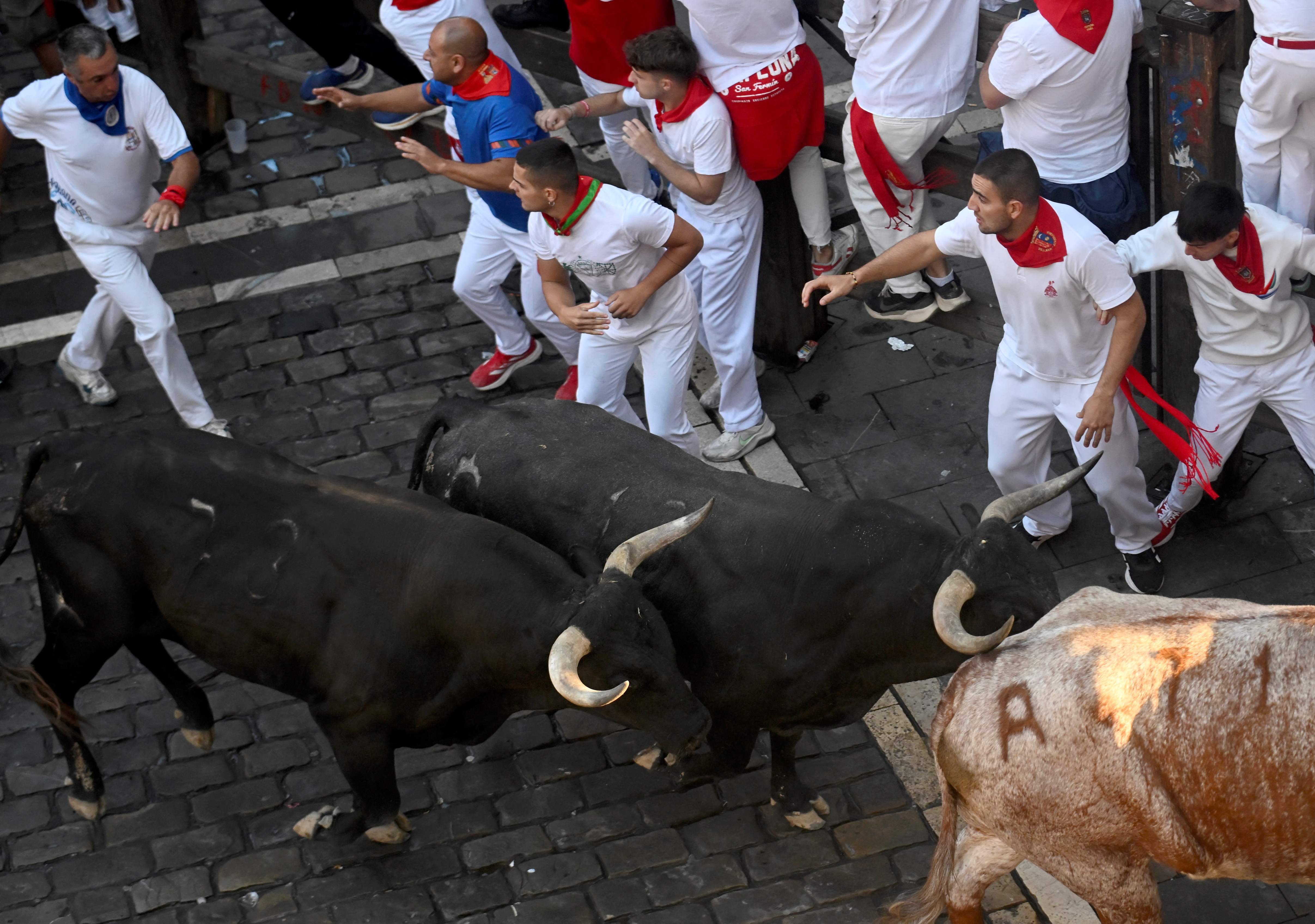 Participantes ven los toros pasar.