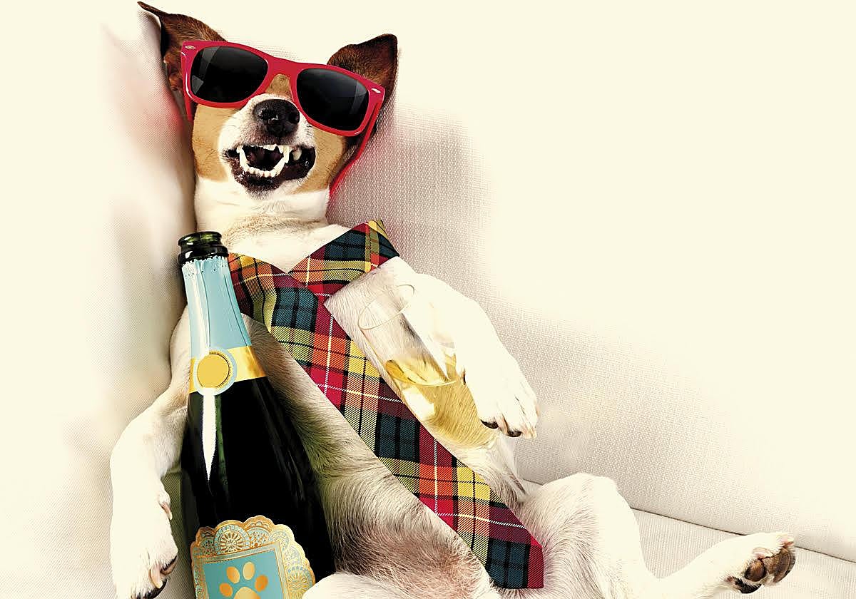 Beber de nuevo tras una resaca brutal… ¿por qué volvemos a hacerlo?