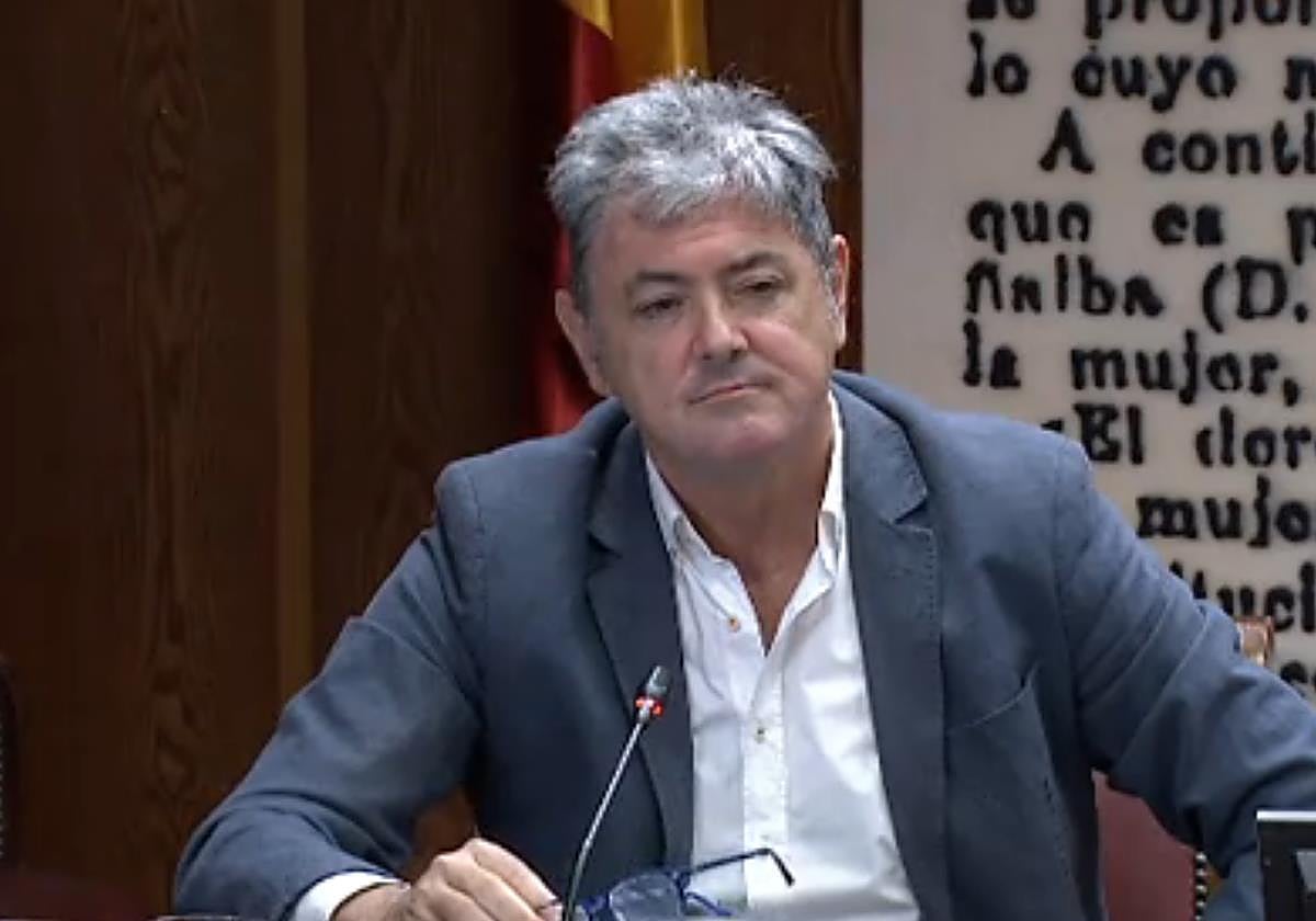 Antxon Alonso durante su comparecencia de este martes en el Senado.