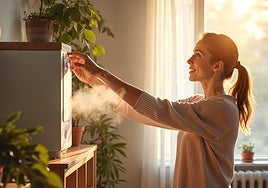 Dale olor y personalidad a tu hogar con estos ambientadores