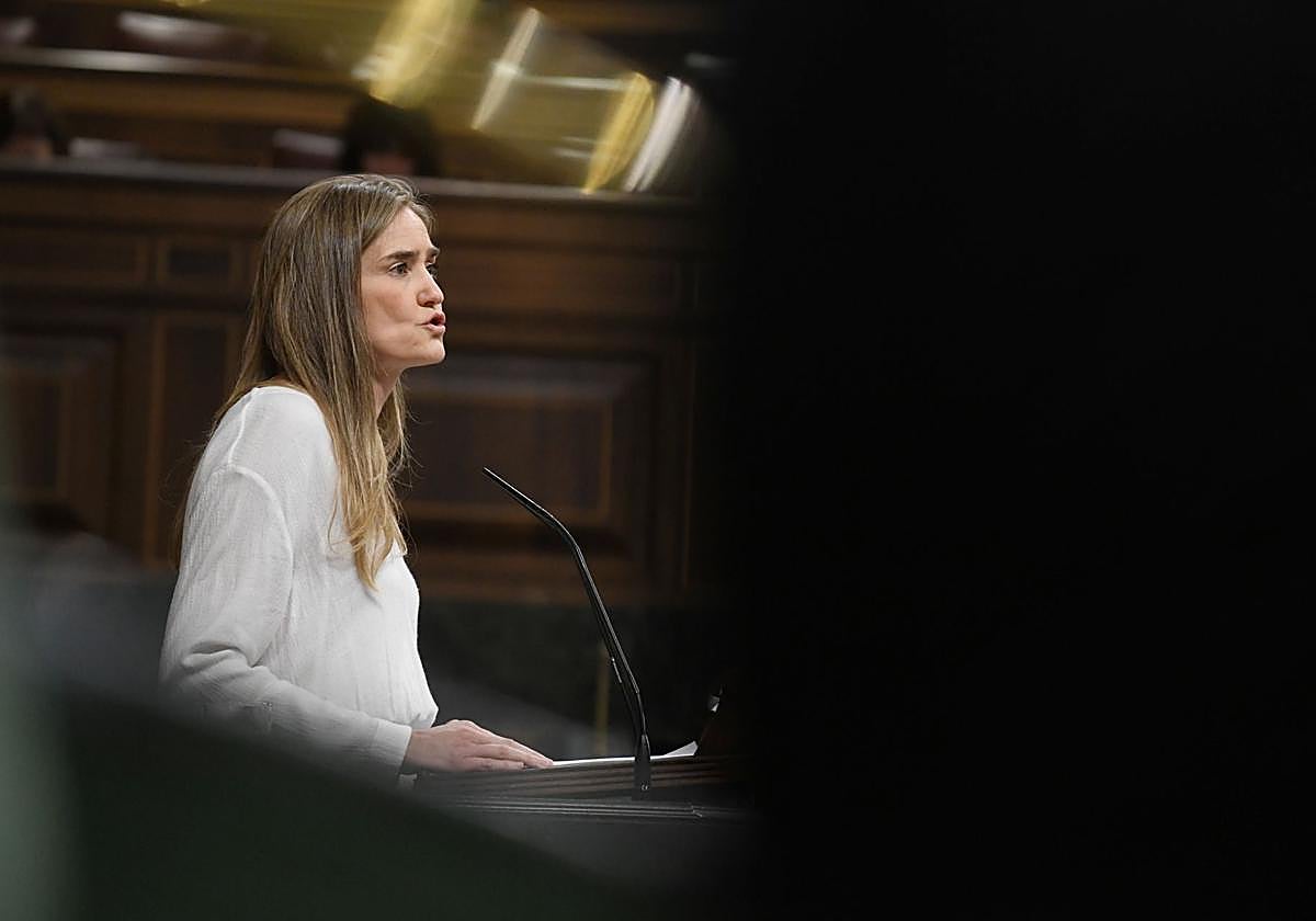 La vicepresidenta del Gobierno y ministra para la Transición Ecológica y el Reto Demográfico, Sara Aagesen, interviene durante una sesión plenaria extraordinaria, en el Congreso de los Diputados