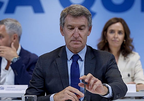 Alberto Núñez Feijóo preside el Comité Ejecutivo Nacional del PP.