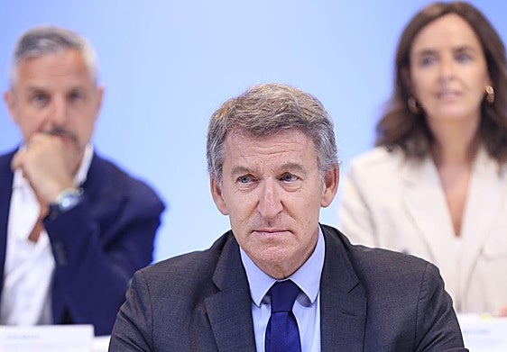 El presidente del PP, Alberto Núñez Feijóo.
