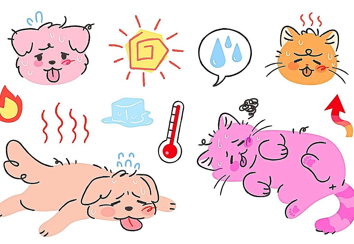 El calor también afecta a tu mascota: ¿sabes cómo protegerla?